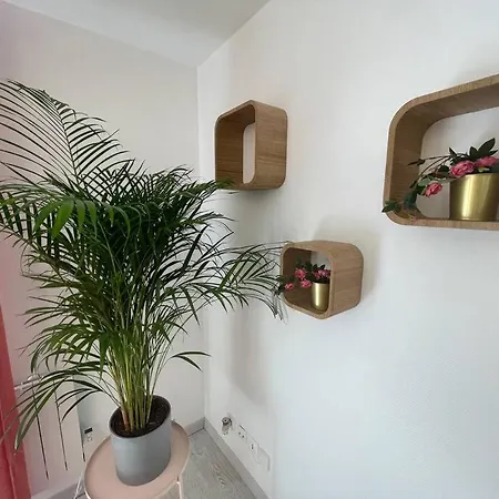 Esprit Palma מולהאוס