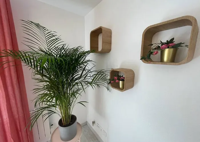 Esprit Palma Mülhausen